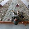 Výcvik afghánské národní armády