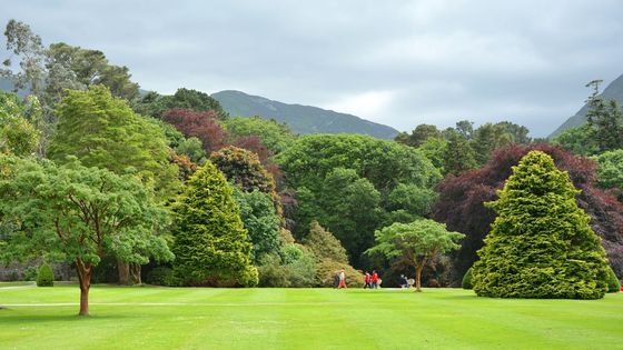 Léto pomalu končí a nastává období pro založení nových nebo přísev stávajících trávníků