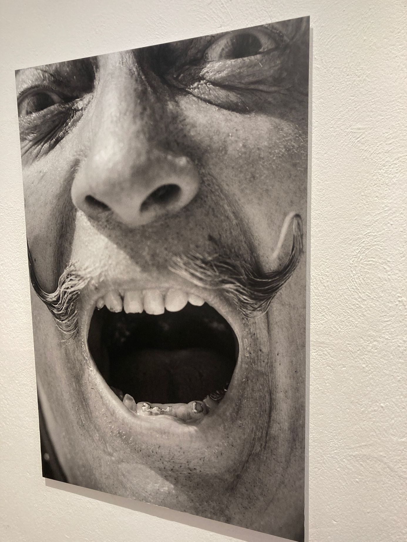 Salvador Dalí a jeho muzeum