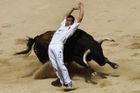 Zemřel býk zabiják, legenda Španělska. Říkali mu Myšák