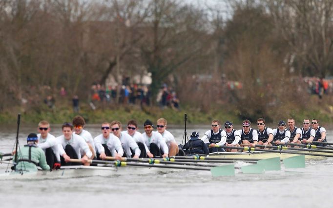 Veslování, regata Oxford - Cambridge