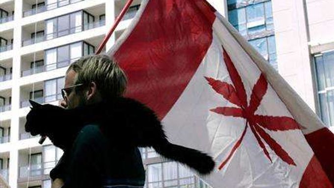 Kanadský konopný obhájce Jason Drayton.