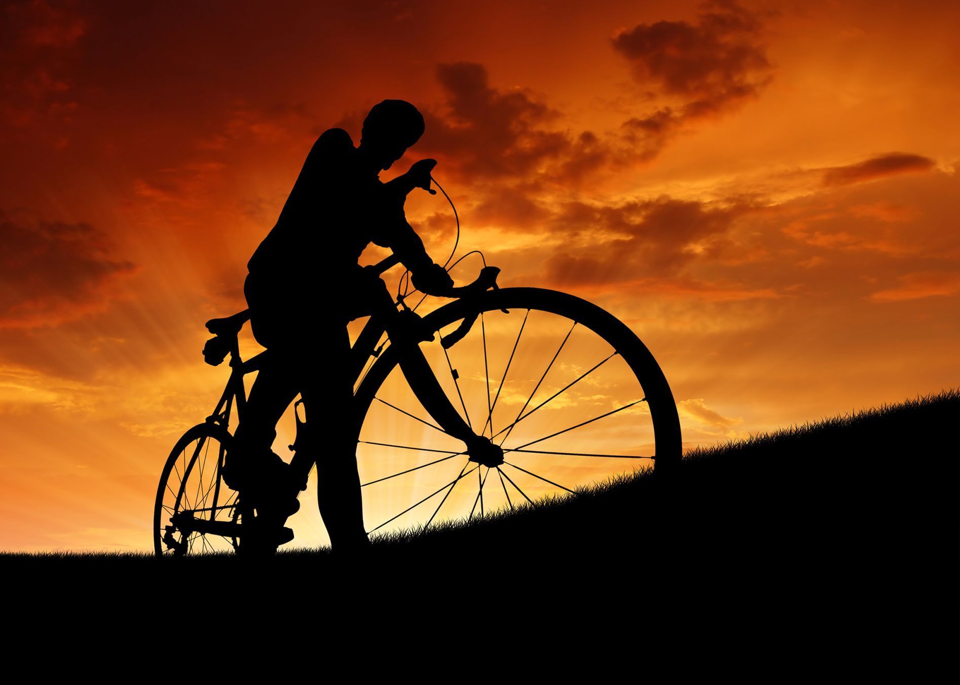 Cyklistika / Kolo / Sport / Volný čas / Shutterstock / Ilustrační snímek