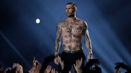 Diváky po celém světe vedle bojů na hřišti zaujala také poločasová show. Hlavní hvězdou byla kapela Maroon 5. Její zpěvák Adam Levine ukázal svá tetování.