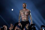 Diváky po celém světe vedle bojů na hřišti zaujala také poločasová show. Hlavní hvězdou byla kapela Maroon 5. Její zpěvák Adam Levine ukázal svá tetování.
