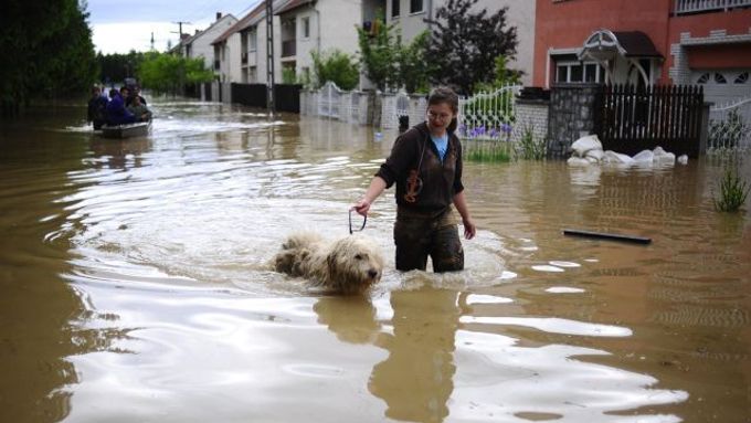 Žena se psem v zatopeném městečku Szendró na severu Maďarska.