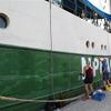 Rainbow Warrior II