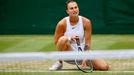 Karolína Plíšková, Aryna Sabalenková, semifinále Wimbledonu 2021