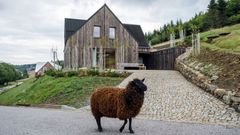 bouda, chata, chalupa, Krkonoše, Architektura