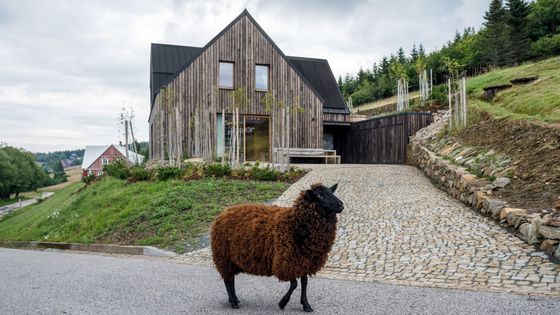 Bouda jako pro Krakonoše. Novostavba v Krkonoších prošla tvrdými pravidly KRNAP