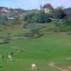 ZOO 3D