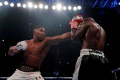 Boxer Joshua podepsal smlouvu na dva duely ve Wembley