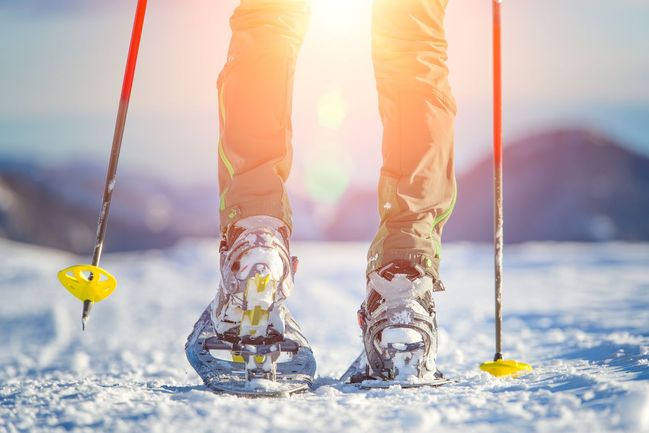 Snowshoeing (sněžnice)