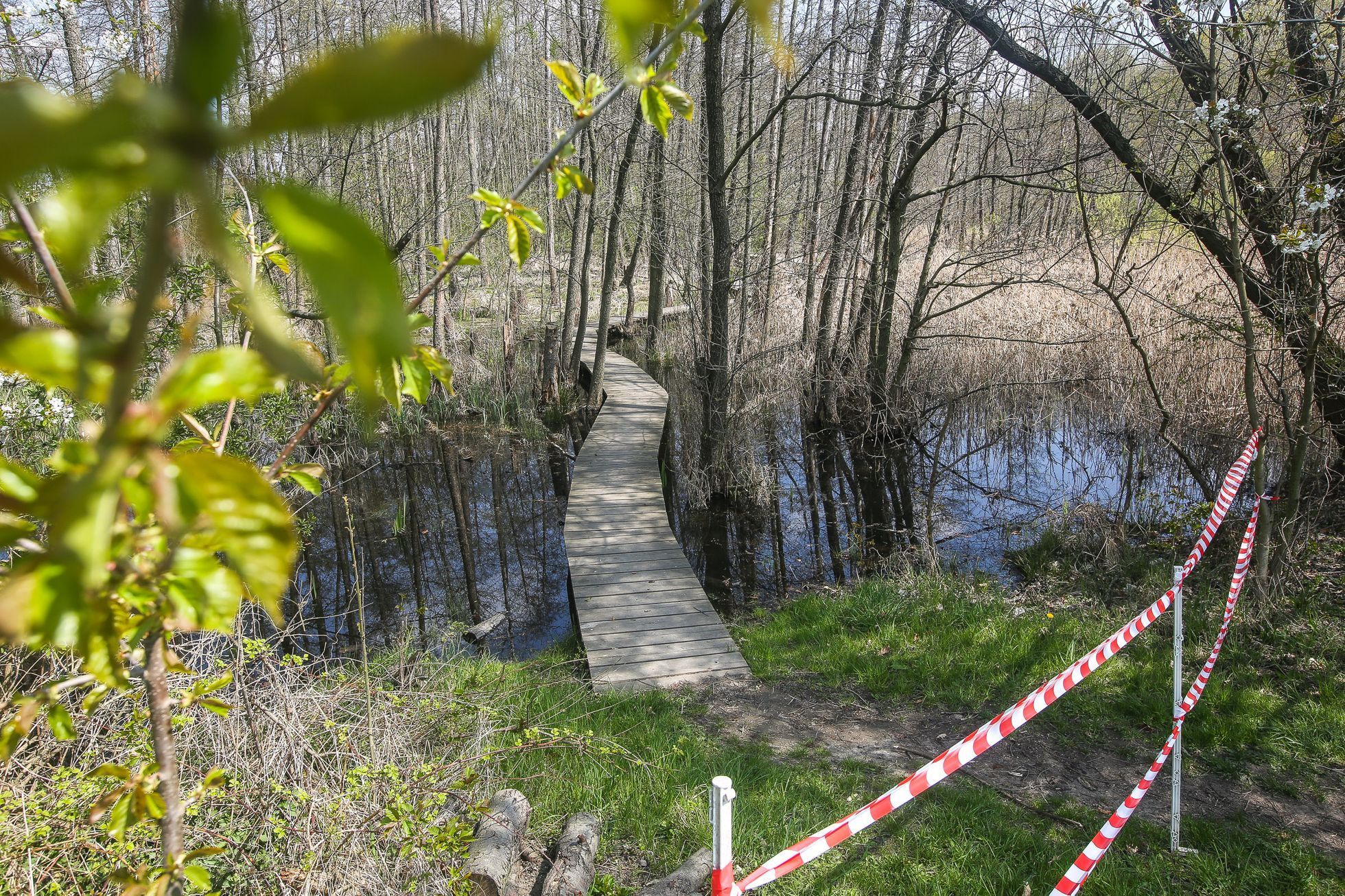 Toulcův dvůr, mokřad, park, louka, Praha Hostivař