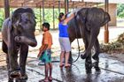 Zoo Praha má nové přírůstky, slonice ze Srí Lanky