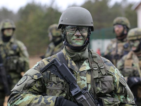 Čeští vojáci na cvičení NATO v Litvě. 