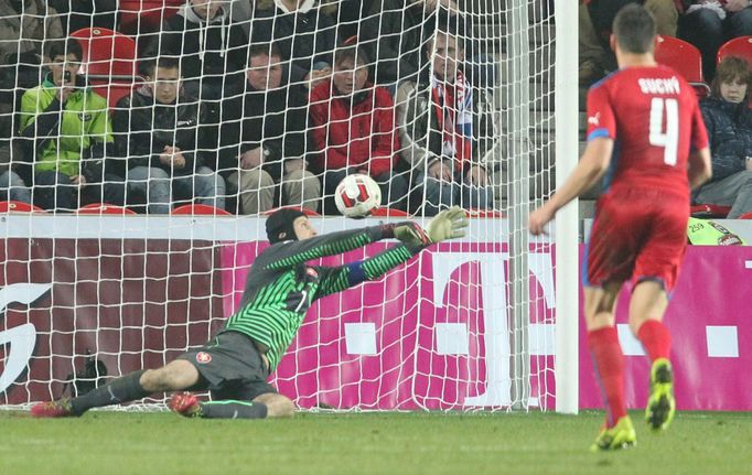 Česko - Norsko: Petr Čech inkasuje gól na 2:2