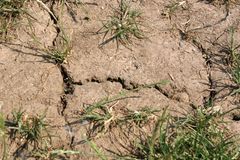 KLDR čelí katastrofálnímu suchu. Zemi hrozí hladomor