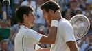 Djokovič vs. Del Potro, semifinále Wimbledonu 2013.