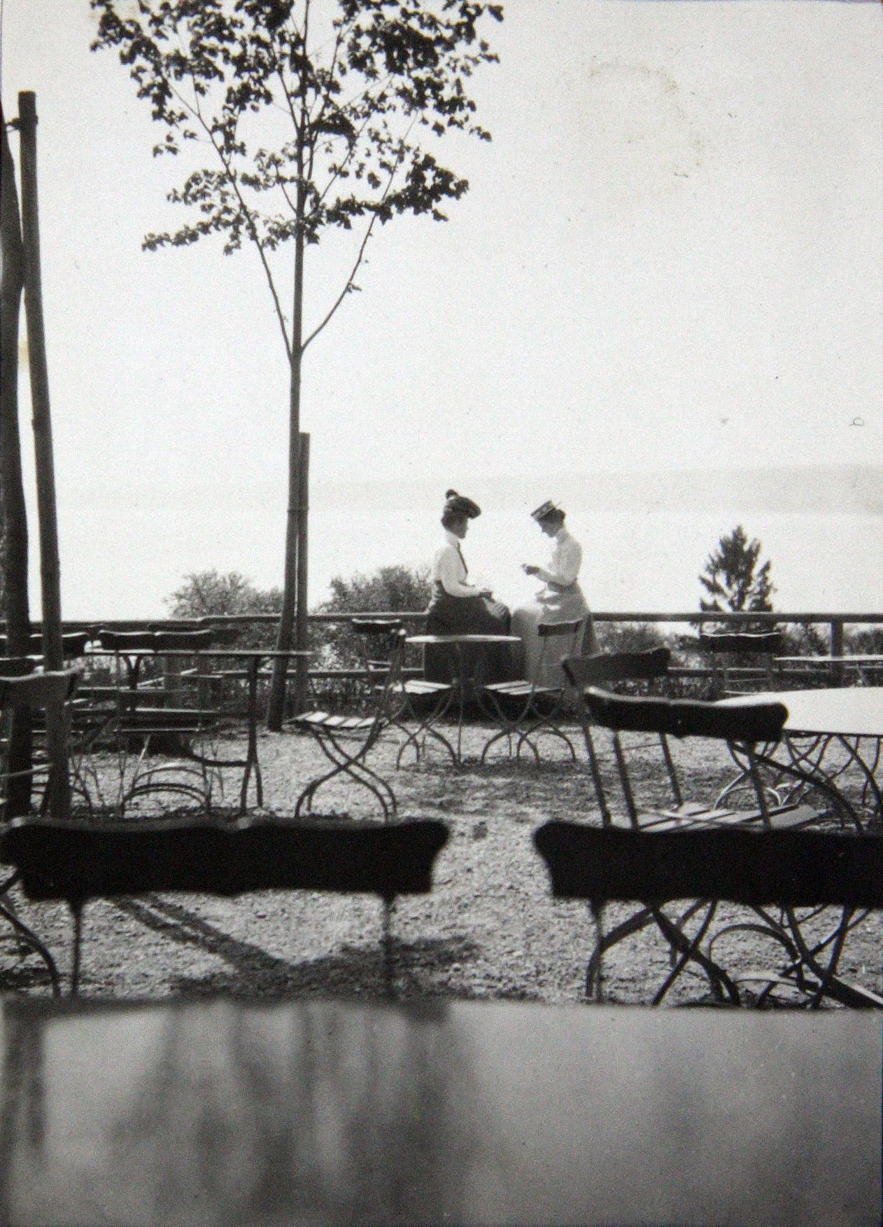 Fotografové šlechtici v zemích Koruny české