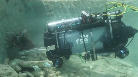 V Atlantiku bojují proti jedovaté rybě robotem. Perutýna omráčí a vcucne