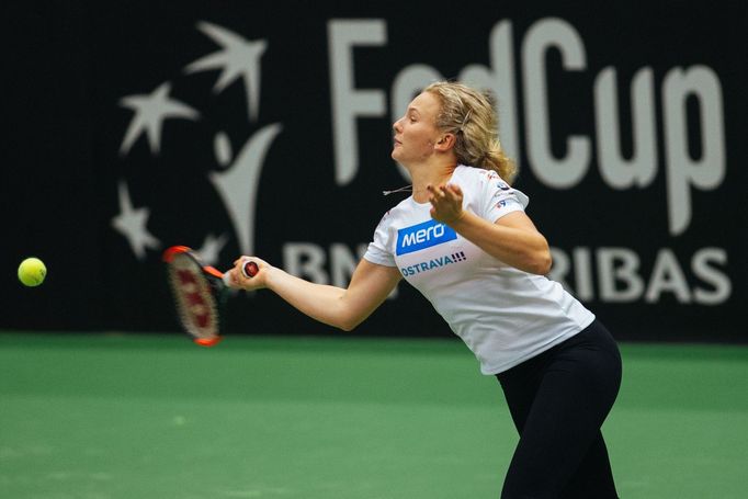 Fed Cup 2017: Kateřina Siniaková