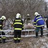 Požár náklaďáku s prasaty