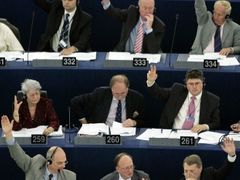 Europoslanci při hlasování ve Štrasburku