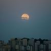 Supermoon hangs in the sky behind an apartment complex in Suwon