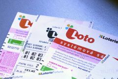 Vstup do loterie stál Fortunu čtvrtinu čistého zisku