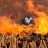 Reuters, nejlepší fotografie, rok 2023, Pictures of the Year 2023, Zahraničí