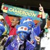 Kamerun - Japonsko, diváci