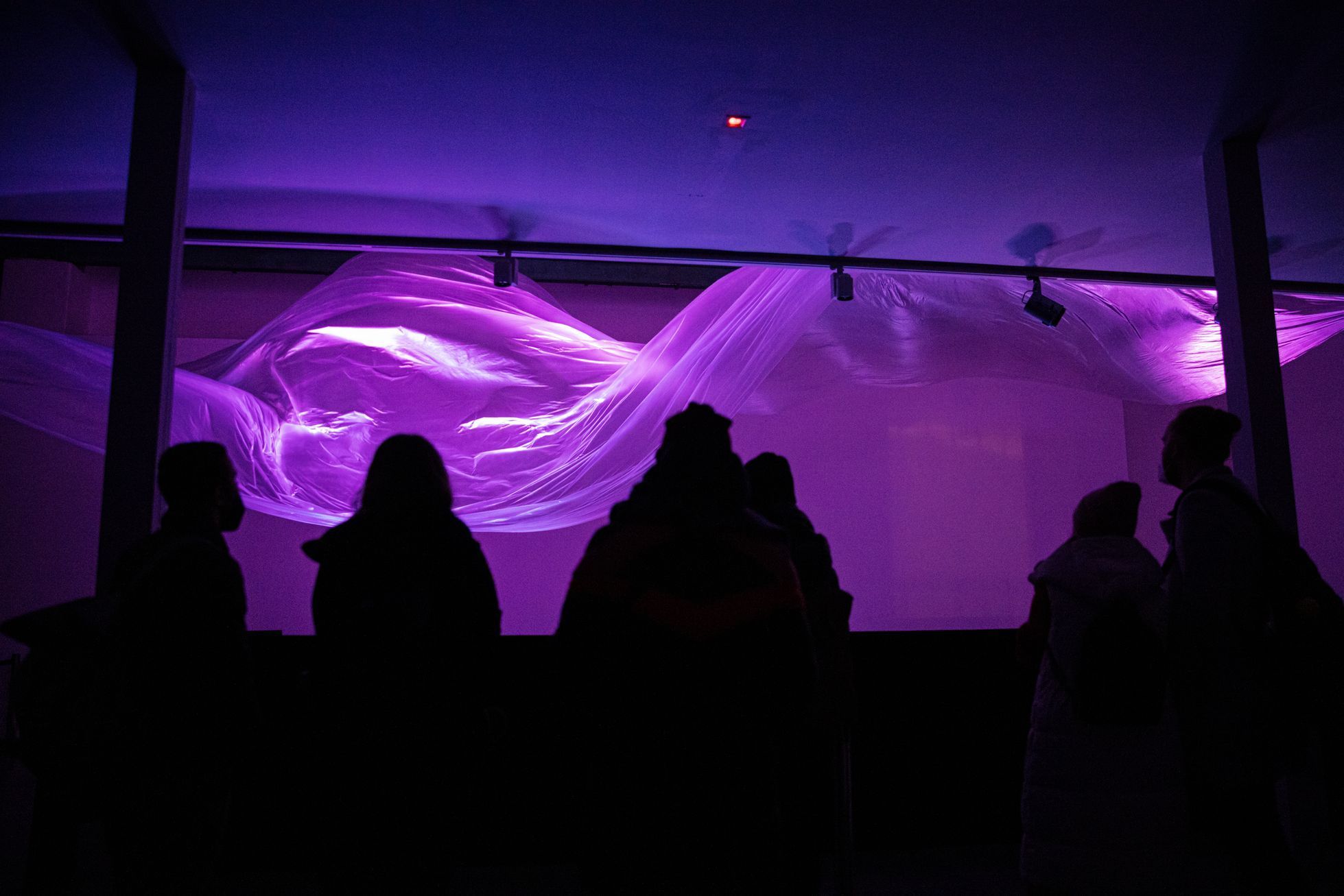 Signal festival 2021