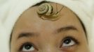 A snail crawls on the forehead of a woman during a demonstration of a new beauty treatment at Clinical-Salon Ci:z.Labo in central Tokyo July 17, 2013. Clinical-Salon Ci:z.Labo, which began the unique facial earlier this week, offers the 10,500 yen ($110) five-minute session with the snails as an optional add-on for customers who apply for a "Celeb Escargot Course", an hour-long treatment routine of massages and facials based on products made from snail slime that costs 24,150 yen. According to a beautician at the salon, the snail slime is believed to make one's skin supple as well as remove dry and scaly patches. Picture taken July 17, 2013. REUTERS/Issei Kato (JAPAN - Tags: SOCIETY) Published: Čec. 18, 2013, 6:04 dop.