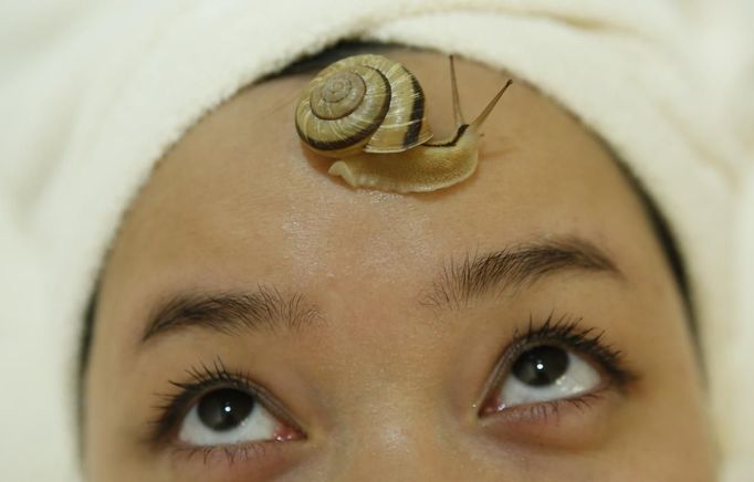 A snail crawls on the forehead of a woman during a demonstration of a new beauty treatment at Clinical-Salon Ci:z.Labo in central Tokyo July 17, 2013. Clinical-Salon Ci:z.Labo, which began the unique facial earlier this week, offers the 10,500 yen ($110) five-minute session with the snails as an optional add-on for customers who apply for a "Celeb Escargot Course", an hour-long treatment routine of massages and facials based on products made from snail slime that costs 24,150 yen. According to a beautician at the salon, the snail slime is believed to make one's skin supple as well as remove dry and scaly patches. Picture taken July 17, 2013. REUTERS/Issei Kato (JAPAN - Tags: SOCIETY) Published: Čec. 18, 2013, 6:04 dop.