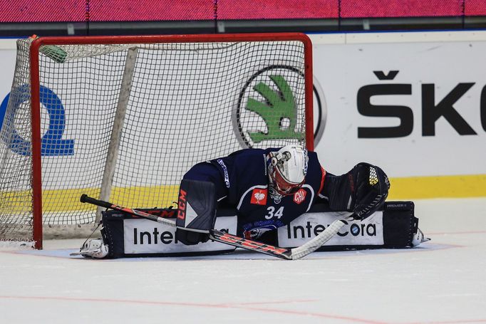 Hokejová Liga mistrů 2018/19: HC Škoda Plzeň - HC Lugano: Brankář Dominik Frodl