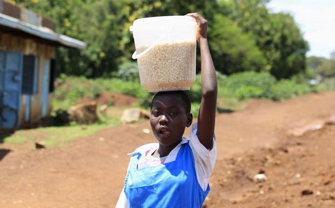 A student from Barack Obama Primary School carries maize on her head as she walks from school in Kogelo village, the ancestral home of U.S. President Barack Obama in Nyangoma Kogelo shopping centre, 430 km (367 miles) west of Kenya's capital Nairobi November 5, 2012. Four years ago, Kogelo, and Africa in general, celebrated with noisy gusto when Obama, whose father came from the scattered hamlet of tin-roofed homes, became the first African-American to be elected president of the United States. Looking across the Atlantic to the Nov. 6 presidential election, the continent is cooler now towards the "son of Africa" who is seeking a second term. There are questions too whether his Republican rival, Mitt Romney, will have more to offer to sub-Saharan Africa if he wins the White House. To match Analysis AFRICA-USA/ELECTION REUTERS/Thomas Mukoya (KENYA - Tags: SOCIETY ELECTIONS POLITICS USA PRESIDENTIAL ELECTION) Published: Lis. 5, 2012, 2:46 odp.