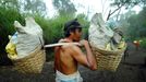 To go with story Indonesia-volcano-mine by Jerome Rivet A picture taken on April 26, 2010 shows Indonesian sulphur miner carrying blocks of sulphur down the Kawah Ijen, o