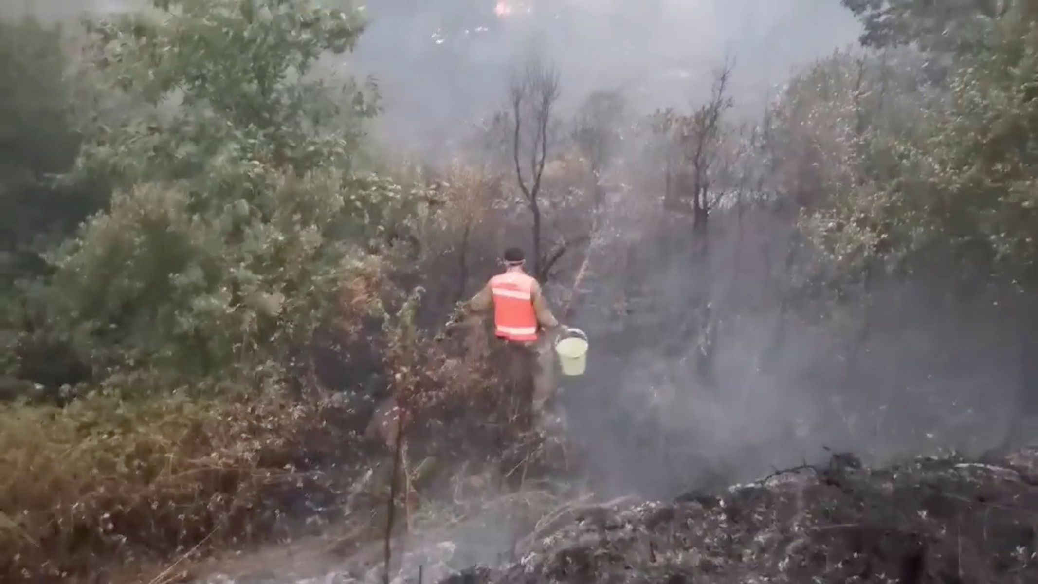 Požáry v Portugalsku.
