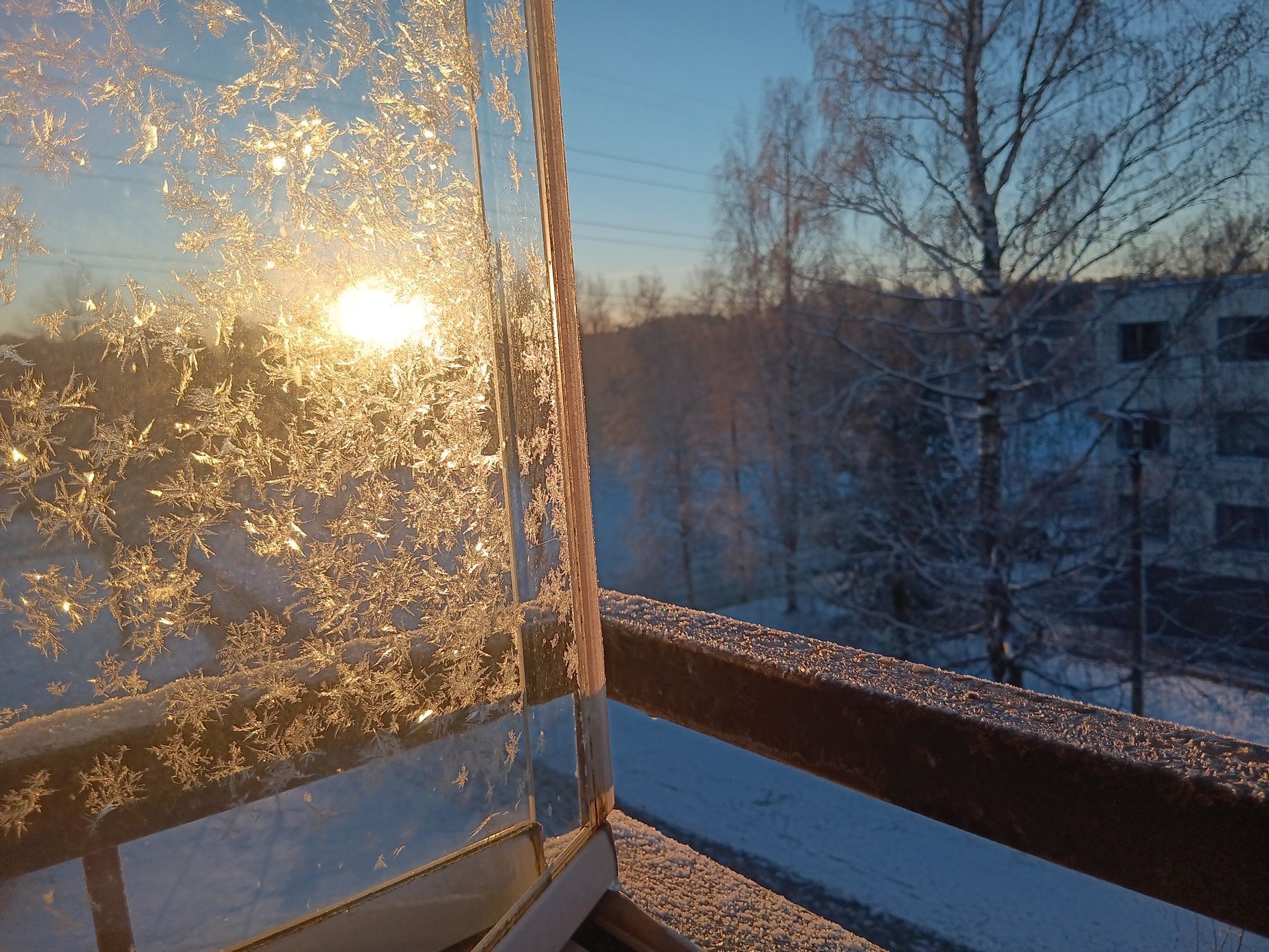 Archiv Michaely Ahonen