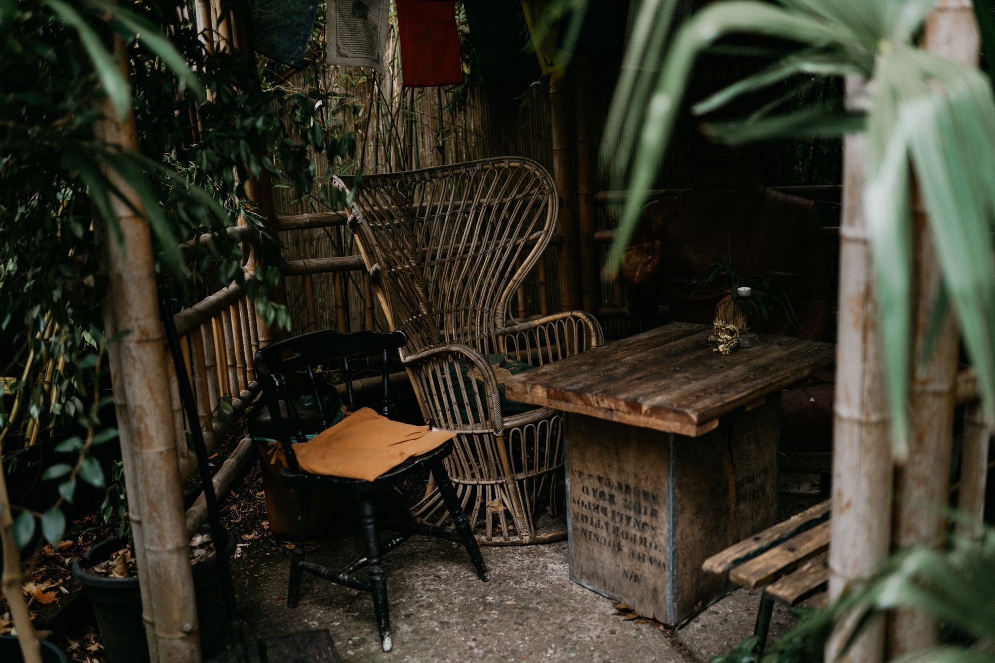 Bambusárium Bohnice