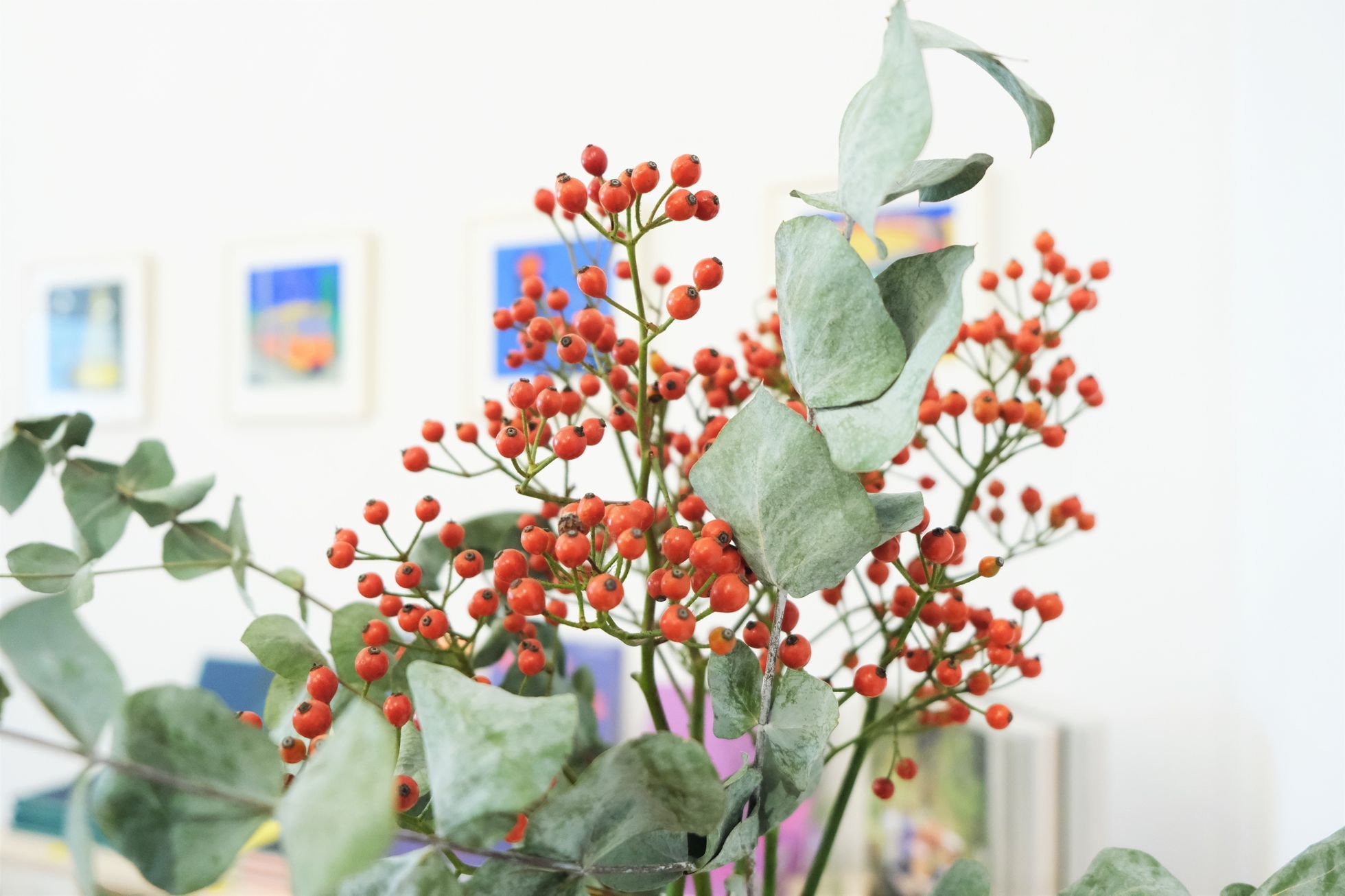 Malé knihy na Malé Straně