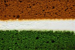 Indičtí cukráři upekli nejdelší dort na světě. Vanilkový zákusek měří 6,5 kilometru