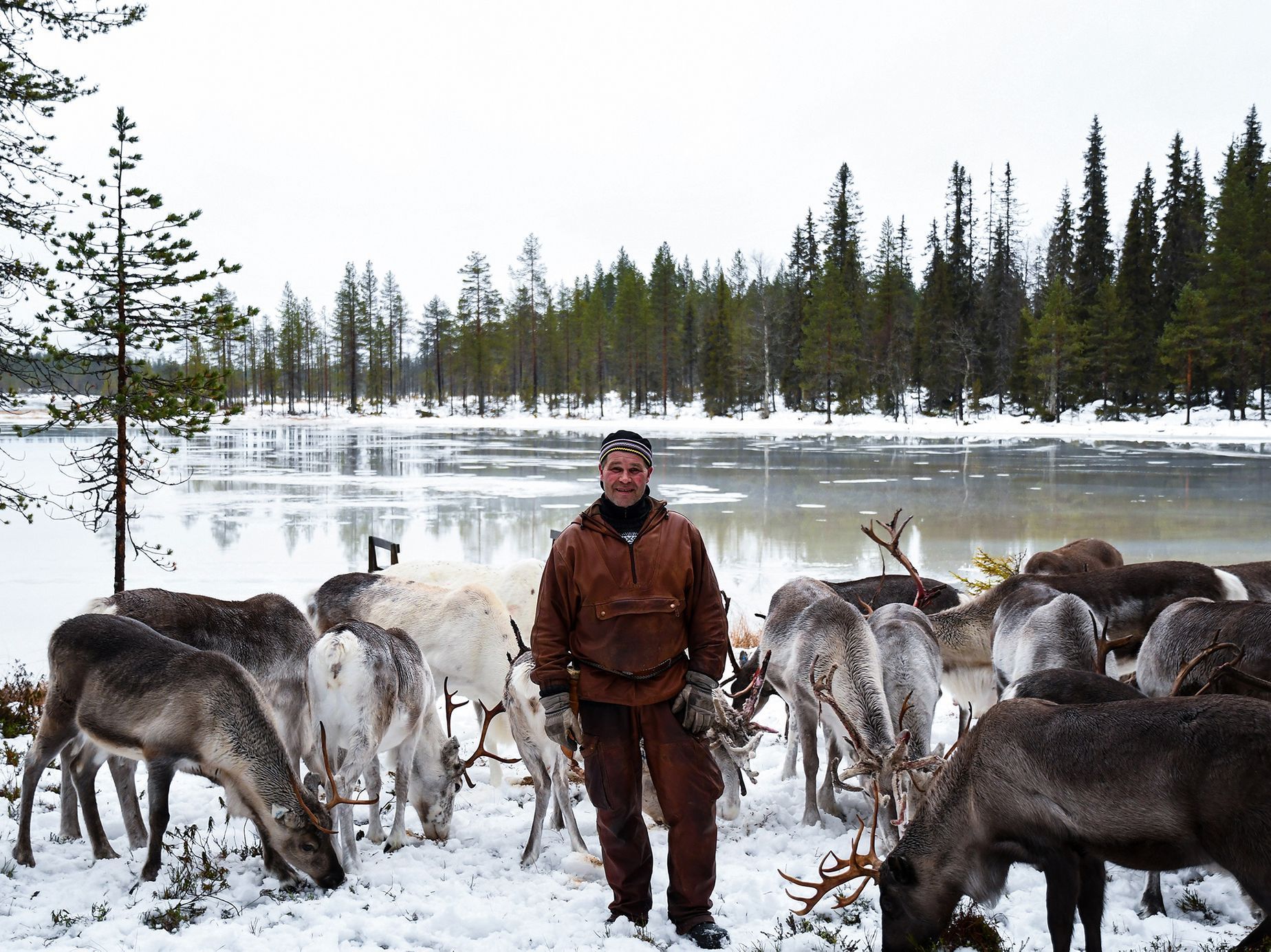 Paloma Parrot - snímek z cyklu Tváře Vánoc