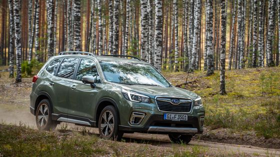 Subaru Forester na českém trhu. Do lesa stylově a se skvělou výbavou