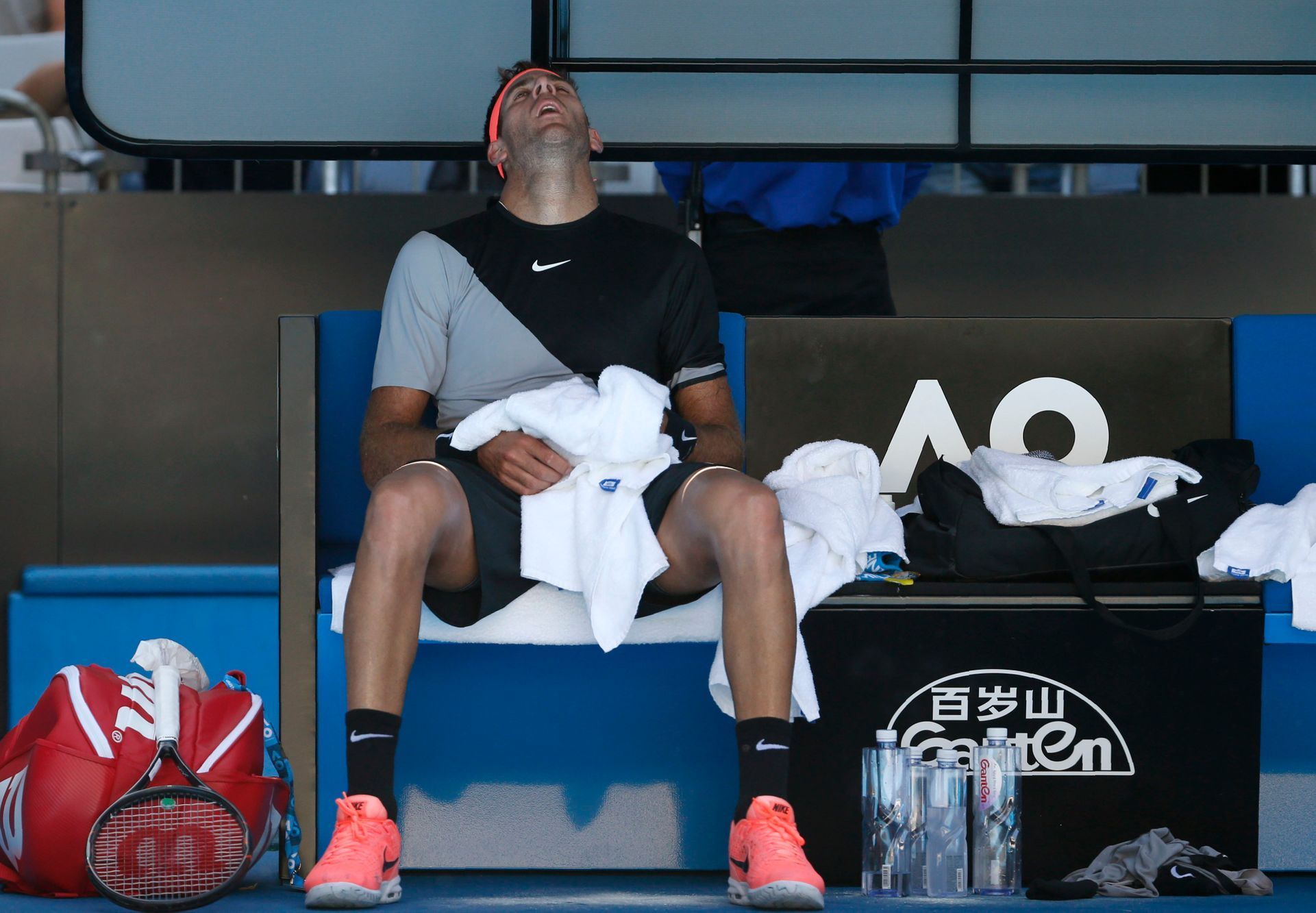 2. kolo Australian Open: Juan Martin del Potro