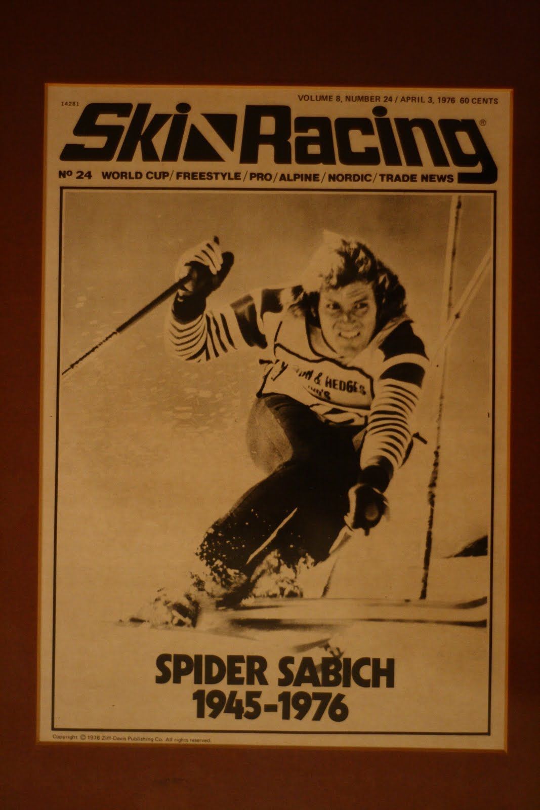 Spider Sabich