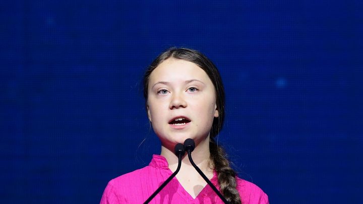 Thunbergová dostala alternativní Nobelovu cenu za tlak na politiky kvůli klimatu