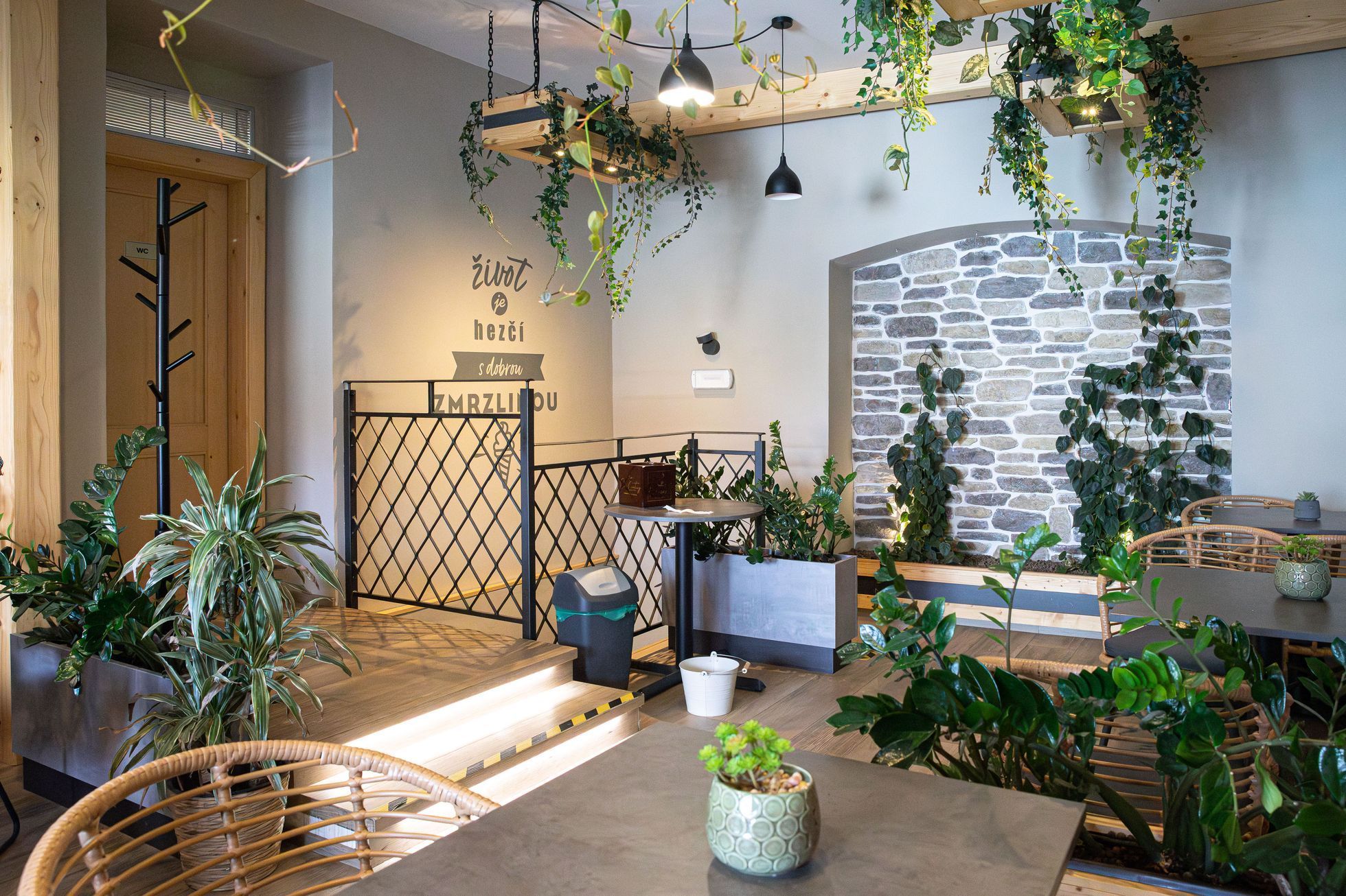 Bonté Gelaterie Beroun, zrmzlina, gastronomie, sladké, cukr, stravování