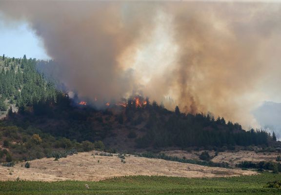 Lesní požáry komplikují vysoké teploty, silný vítr i vhlkost.